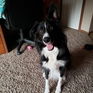 Meet your Posher, Karri